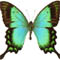 Click image to select for your postcard